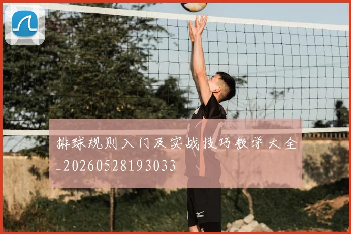 排球规则入门及实战技巧教学大全_20260528193033