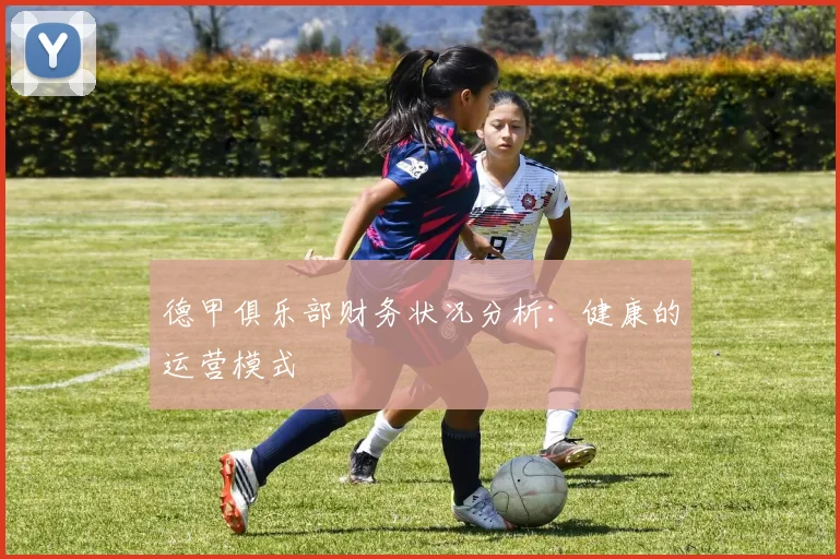 德甲俱乐部财务状况分析：健康的运营模式