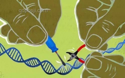 中国科学家首证史前母系社会，Nature成果的重大意义